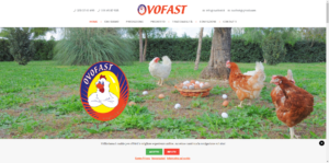 Ovofast: sito web azienda avicola